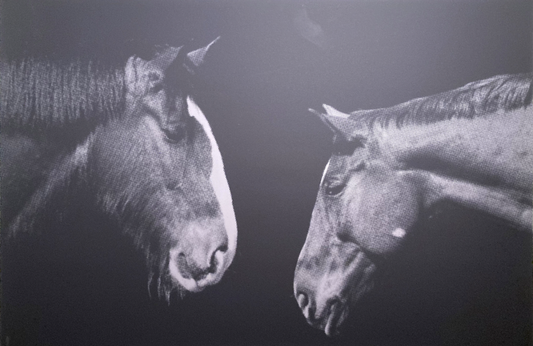 Messurement: A2, Medium: Gliche print on 180 g/cm, not framed