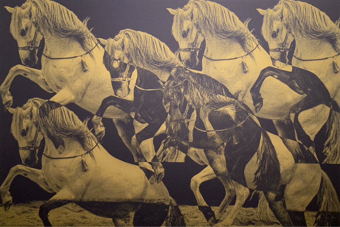 Messurement: A2, Medium: Gliche print on 180 g/cm, not framed