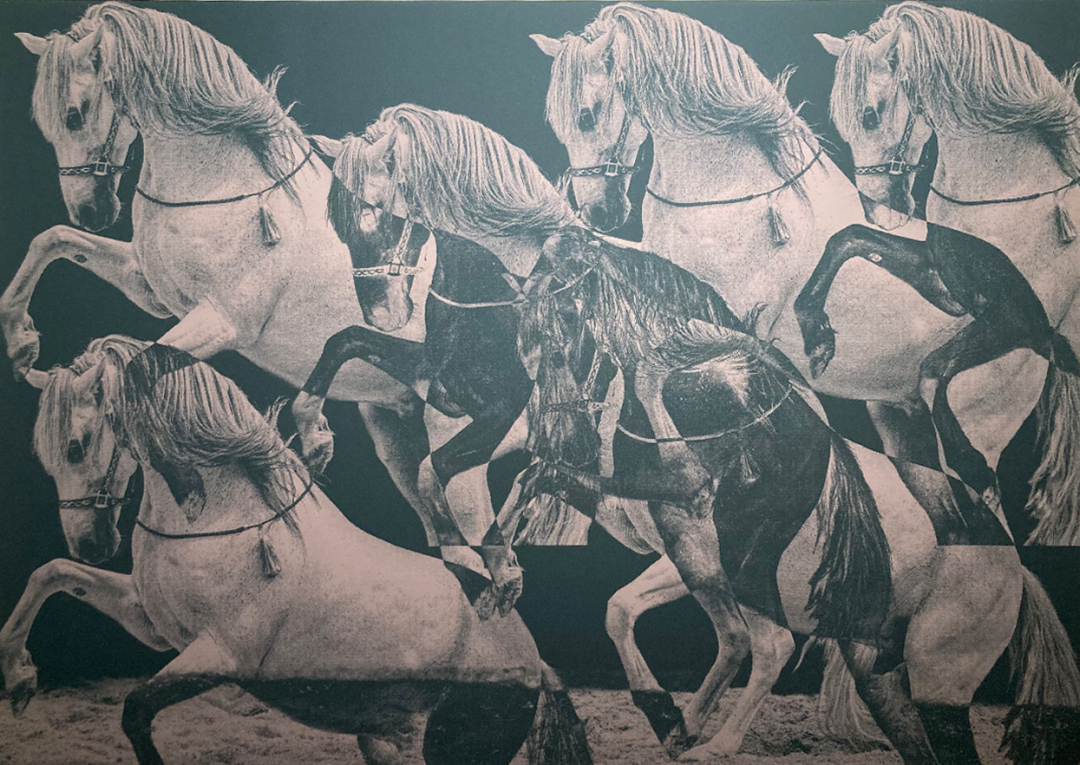 Messurement: A2, Medium: Gliche print on 180 g/cm, not framed